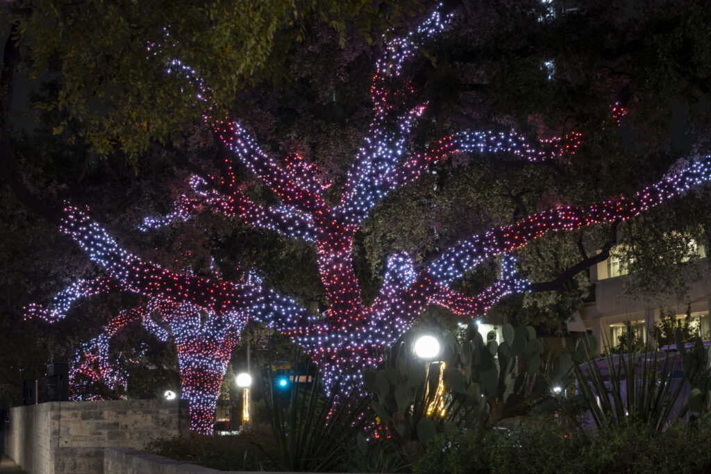 德州大学奥斯汀校区迎来新的“长角之光”传统，点亮节日气氛