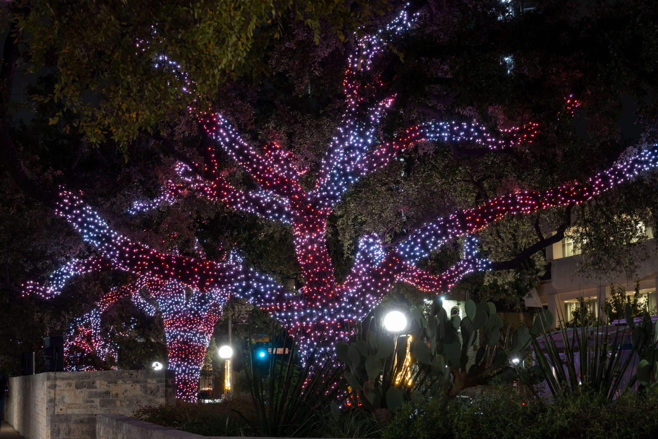 UT Austin Rings in the Holidays with New 'Longhorn Lights' Tradition - UT  News