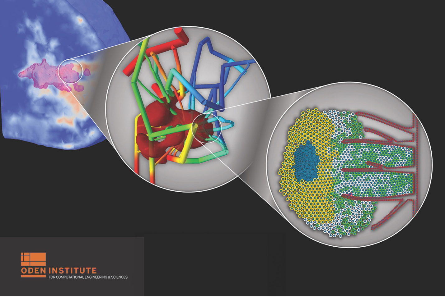 colorful computational model of how a cell may respond to chemotherapy and radiotherapy