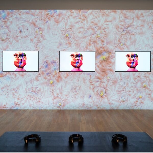 well-trained-eye-installation-view