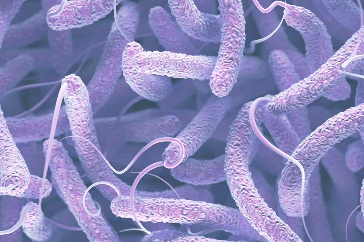 Persistent Strain of Cholera Defends Itself Against Forces of Change ...