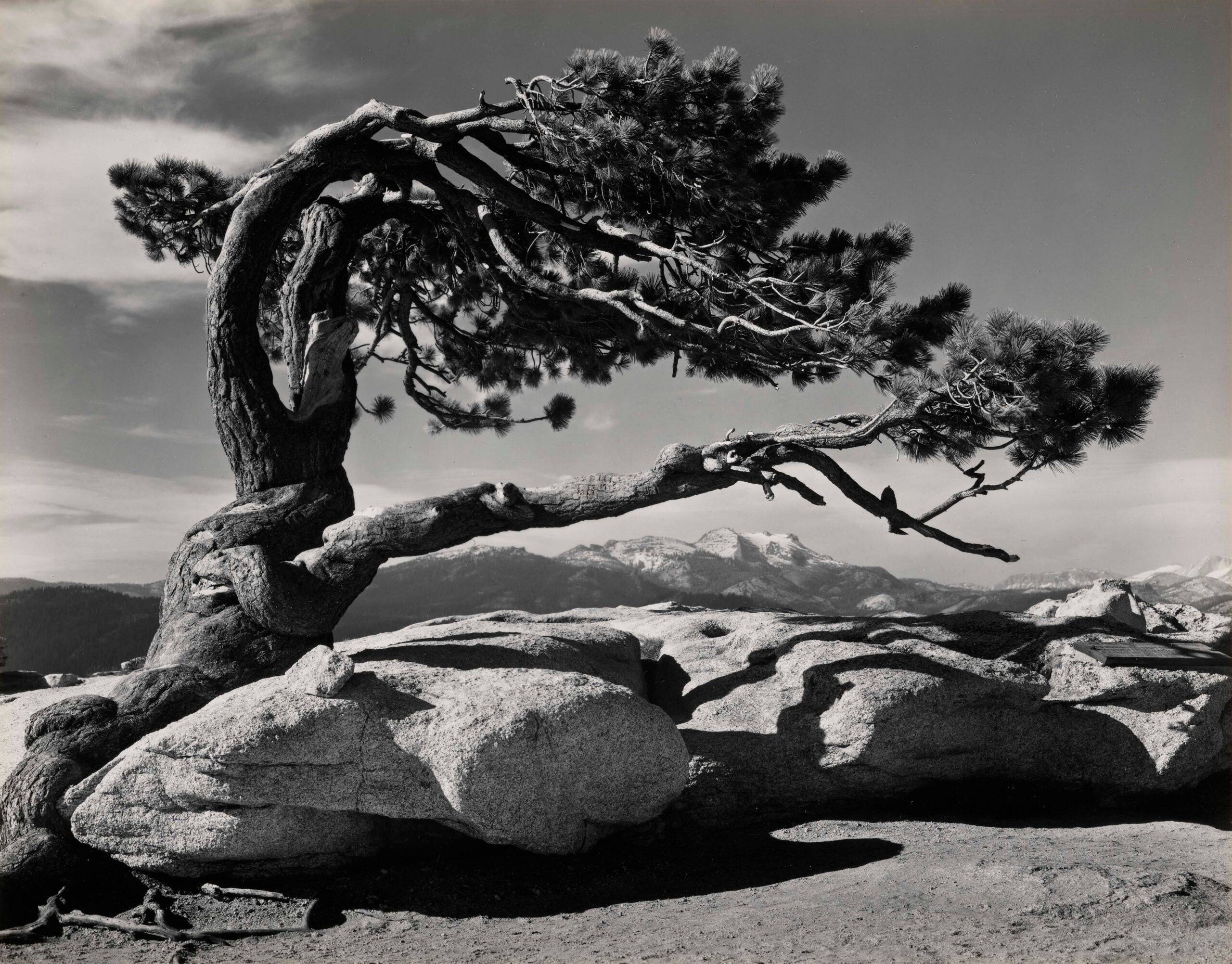 New Exhibition Spotlights Ansel Adams’ Environmental and Artistic ...