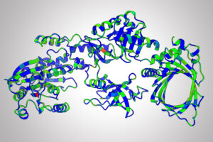 A colorful ribbon with twists and turns represents the three-dimensional shape of a molecule