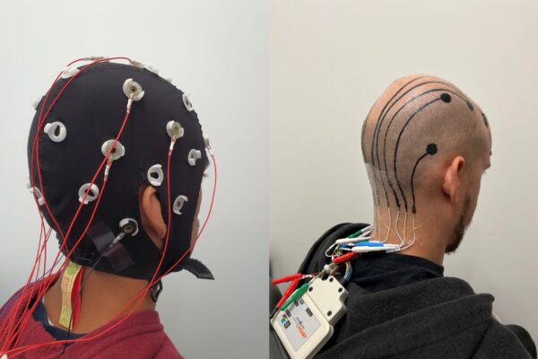 2024-ASE-Lu-EEG-comp