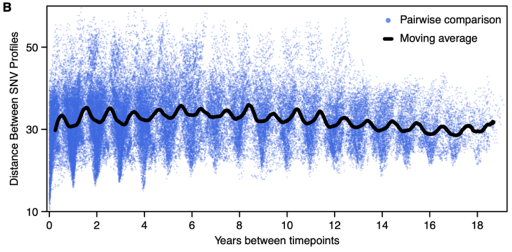 A graph showing a black line that undulates up and down as it moves to the right