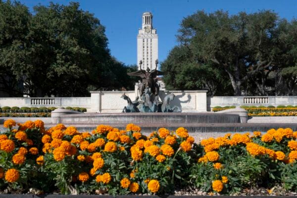 Tower and University Ave. orange flowers UT Beautification Council 2022
