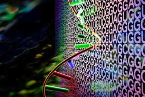 mRNA