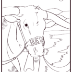 Illustration of Bevo