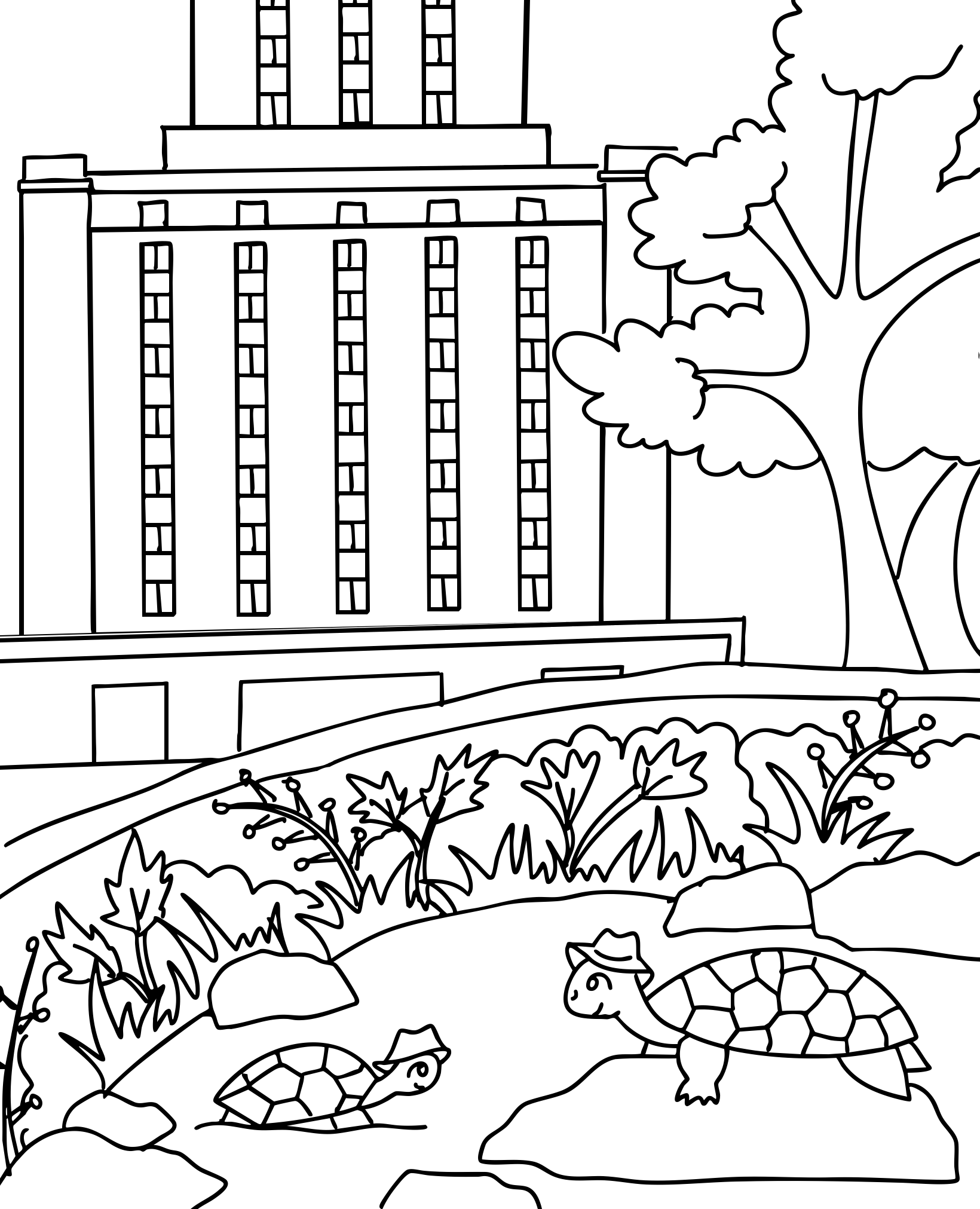 Illustration of turtles sitting on rocks