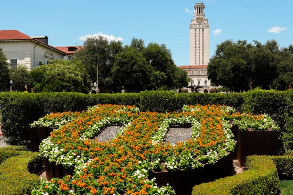 Landscaping on the University of Texas at Austin campus in the foreground with the University of Texas Tower in the background