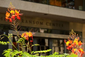 Landscaping outside the Harry Ransom Center on the University of Texas at Austin campus
