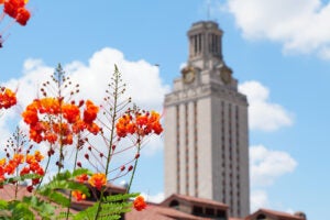 Landscaping on the University of Texas at Austin campus in the foreground with the University of Texas Tower in the background