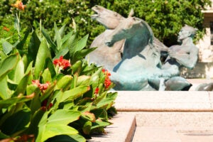 Landscaping on the University of Texas at Austin campus in the foreground with a statue in the background