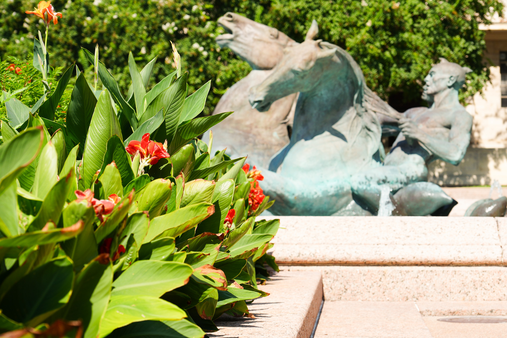 Landscaping on the University of Texas at Austin campus in the foreground with a statue in the background