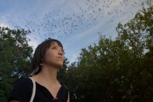 University of Texas at Austin student LiLi Xiong watches bats emerge from Bracken Cave