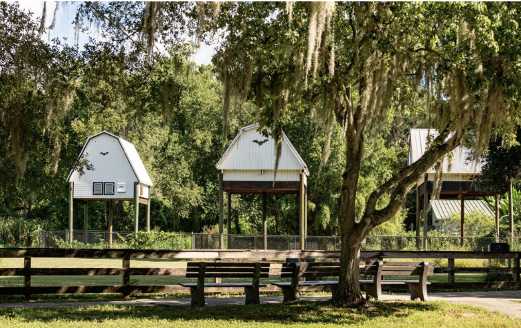 Two structures that look like car ports house bats
