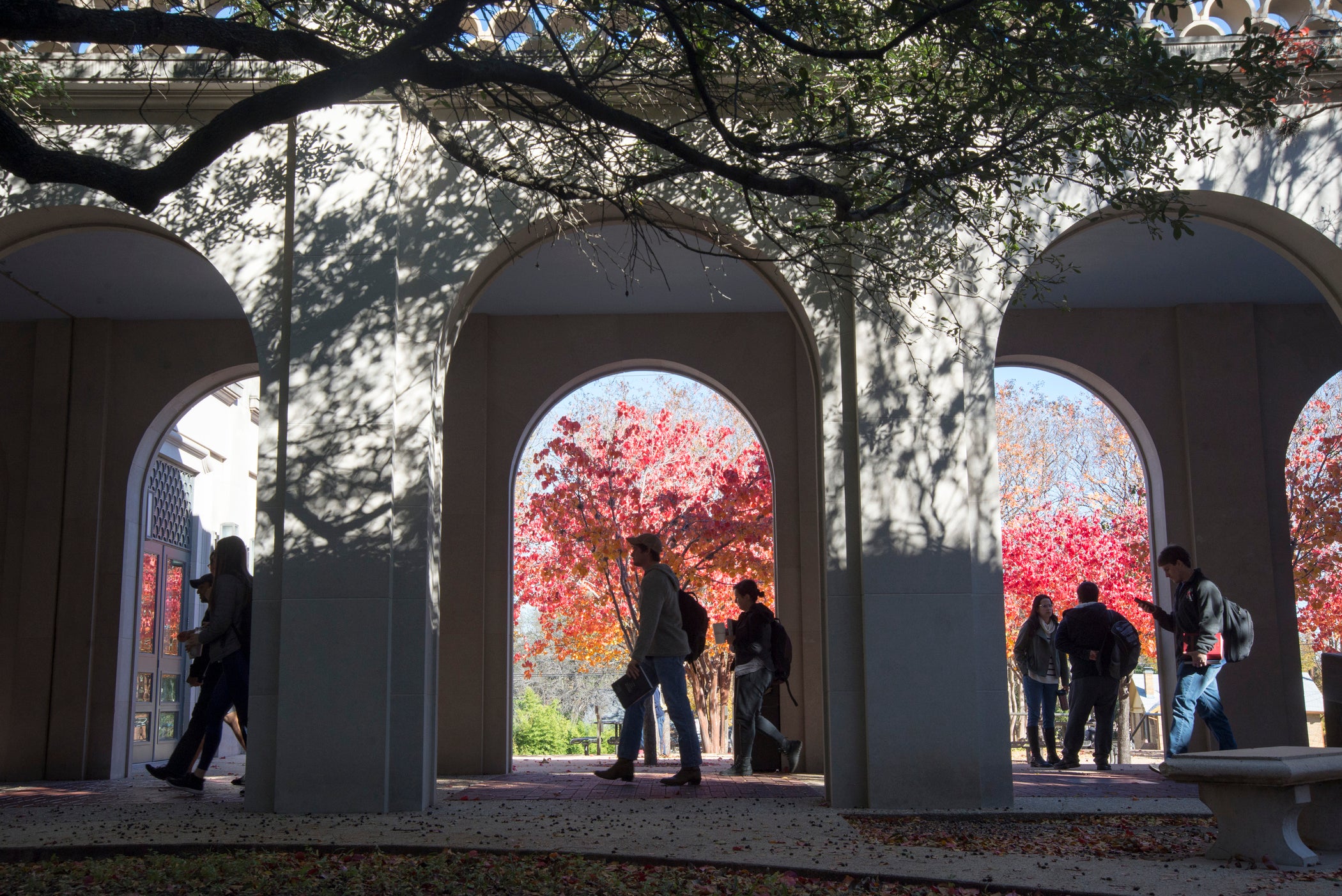 exterior of an arched breezeway at the Law School with Bradford pear trees in fall colors of red and orange
