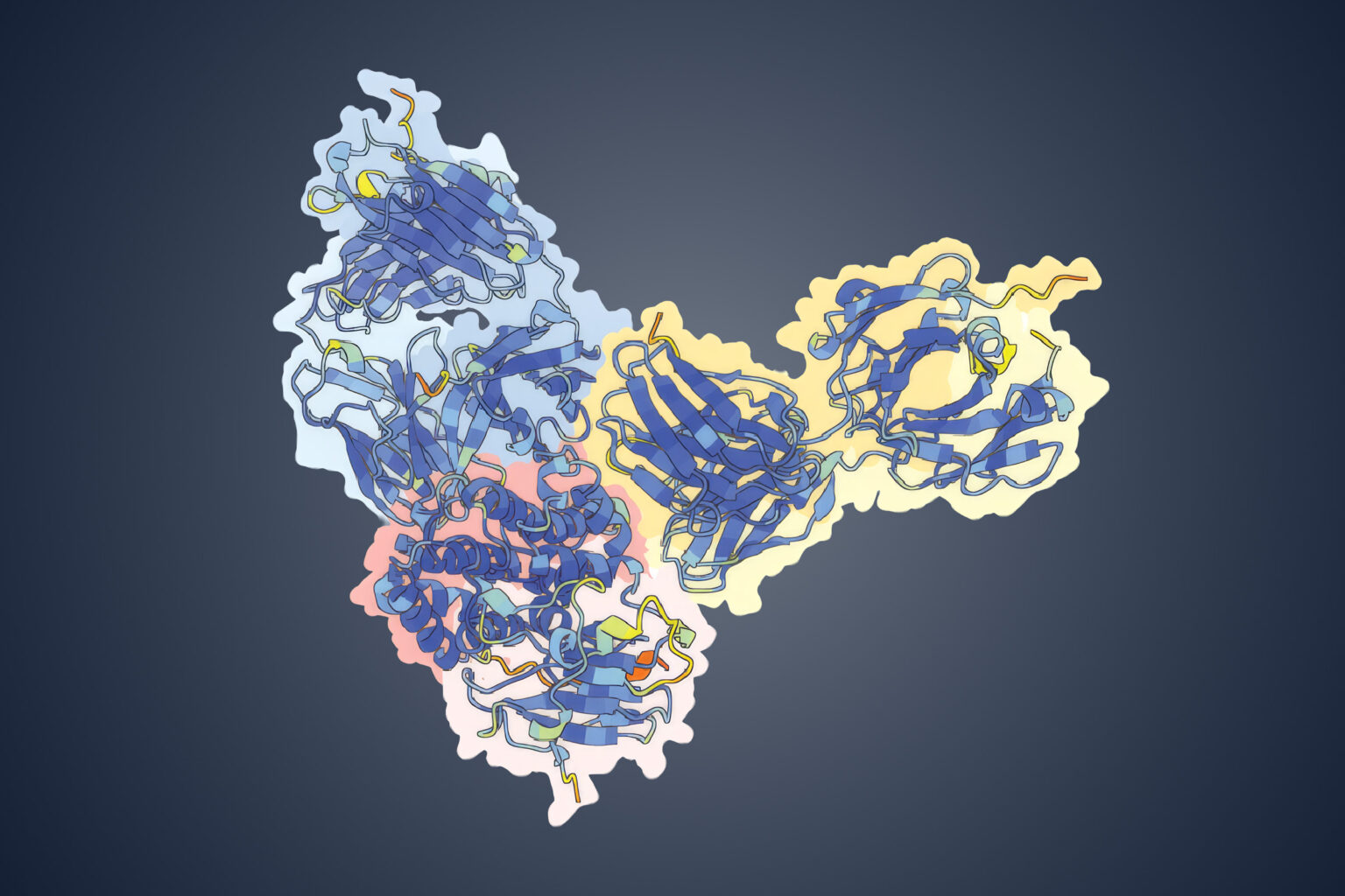 3×2-protein-antibodies