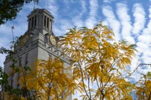 A tree with yellow leaves stands in front of the University of Texas at Austin Tower.