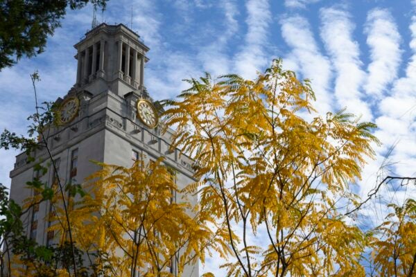 A tree with yellow leaves stands in front of the University of Texas at Austin Tower.