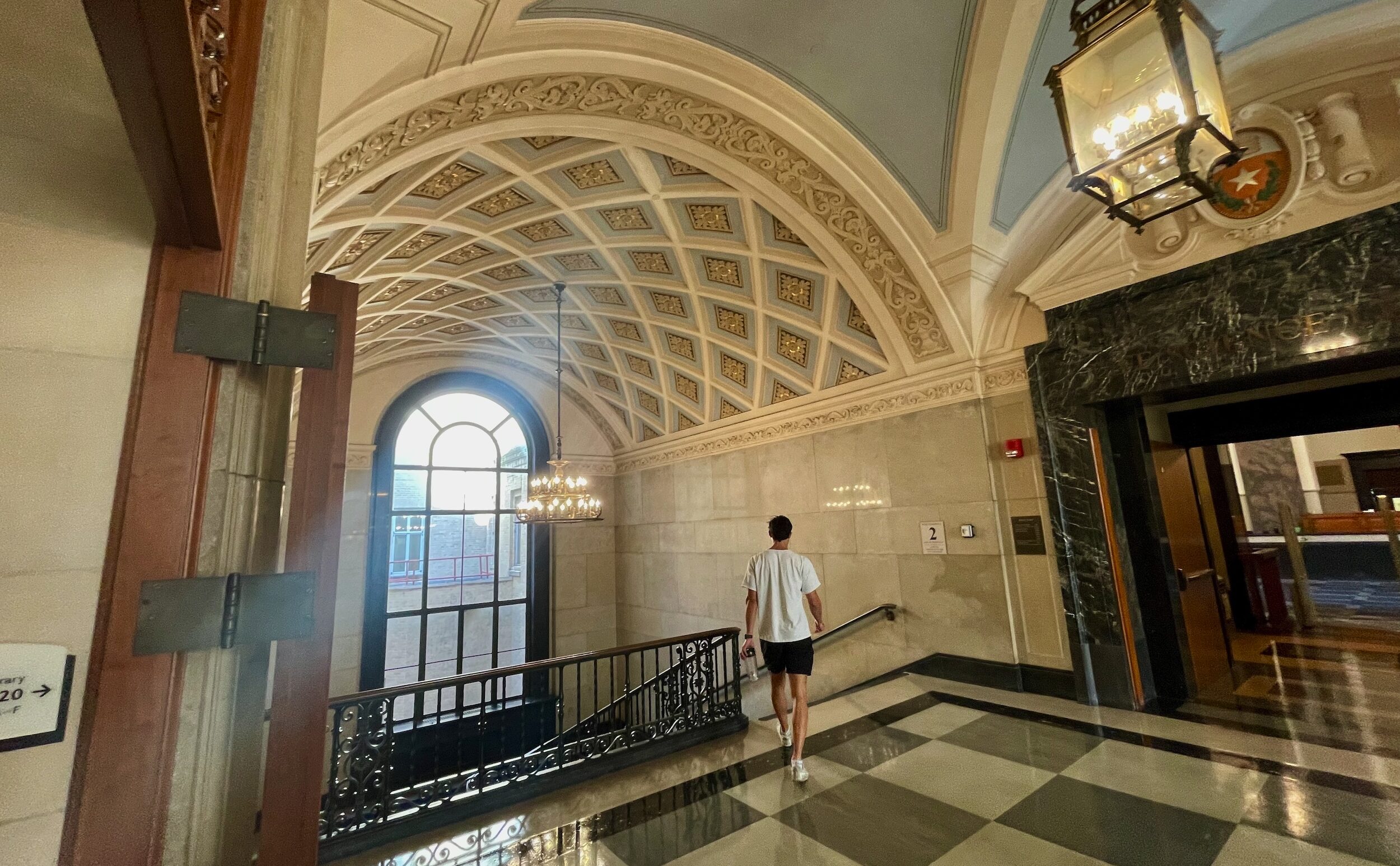 ornate vaulted ceiling in library