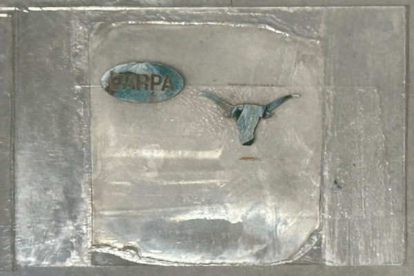 Silver patterning (longhorn) – Size 4[59].jpg