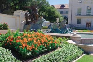 Orange calalillies growing next to Littlefield Fountain