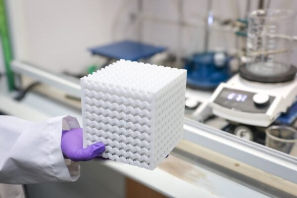 Researcher holds a 3D-printed porous cartridge used to filter materials.
