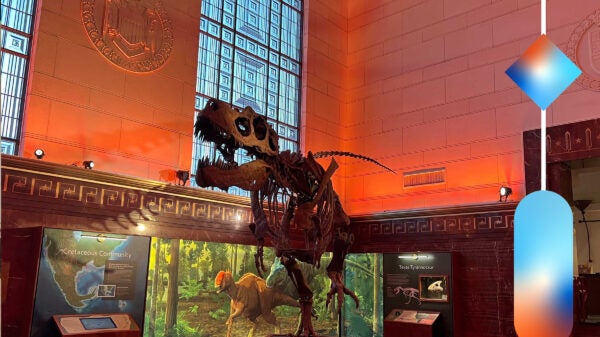 Image of a dinosaur skeleton at the Texas Science and Natural History Museum