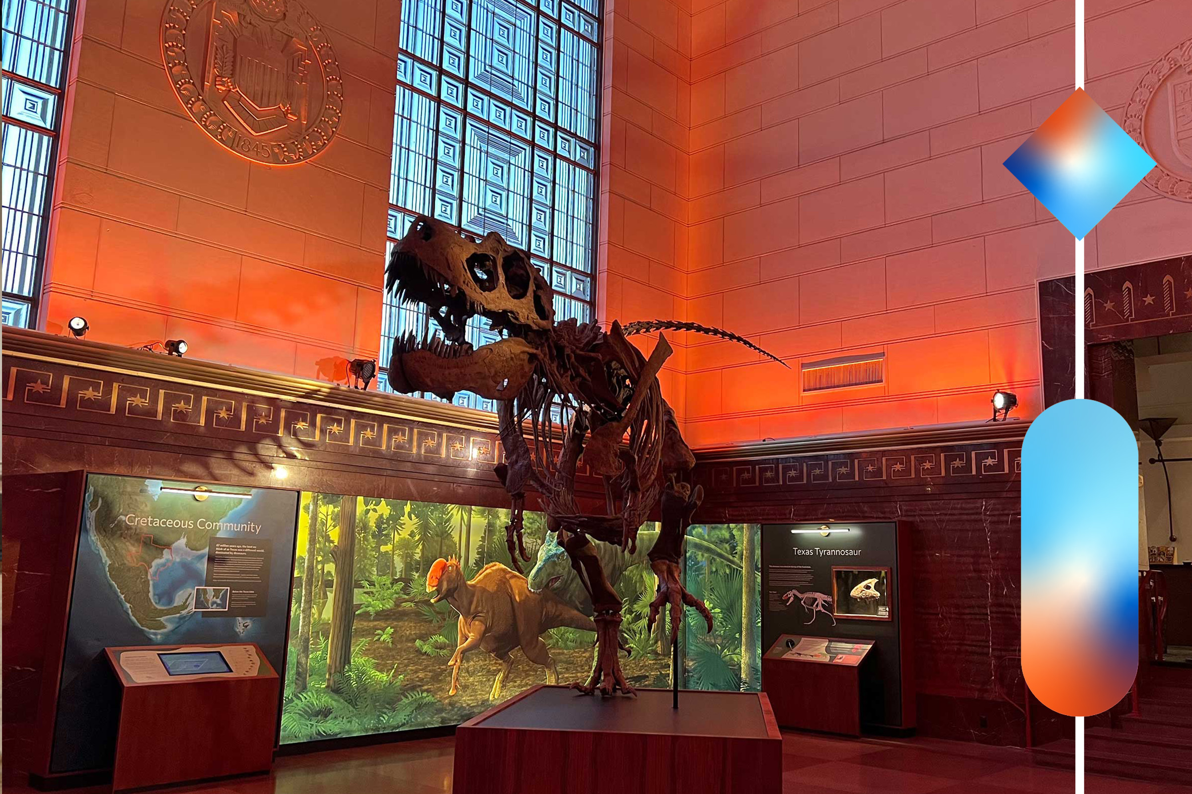 A Tyrannosaurus rex skeleton in the lobby of a museum.