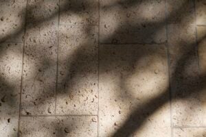 cordova-shell-limestone-01