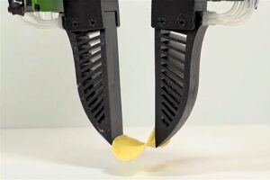 Robot gripper hand picks up potato chip.