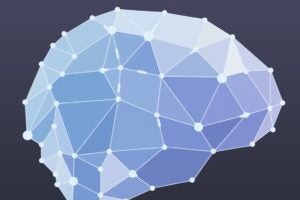 Geometric illustration of a brain.