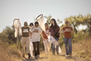 College students walk in field with bug nets