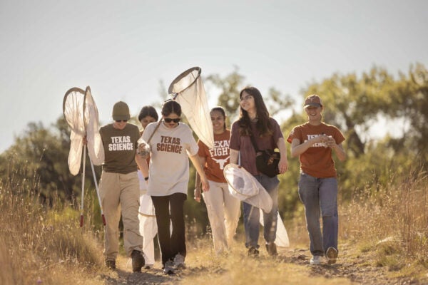 College students walk in field with bug nets