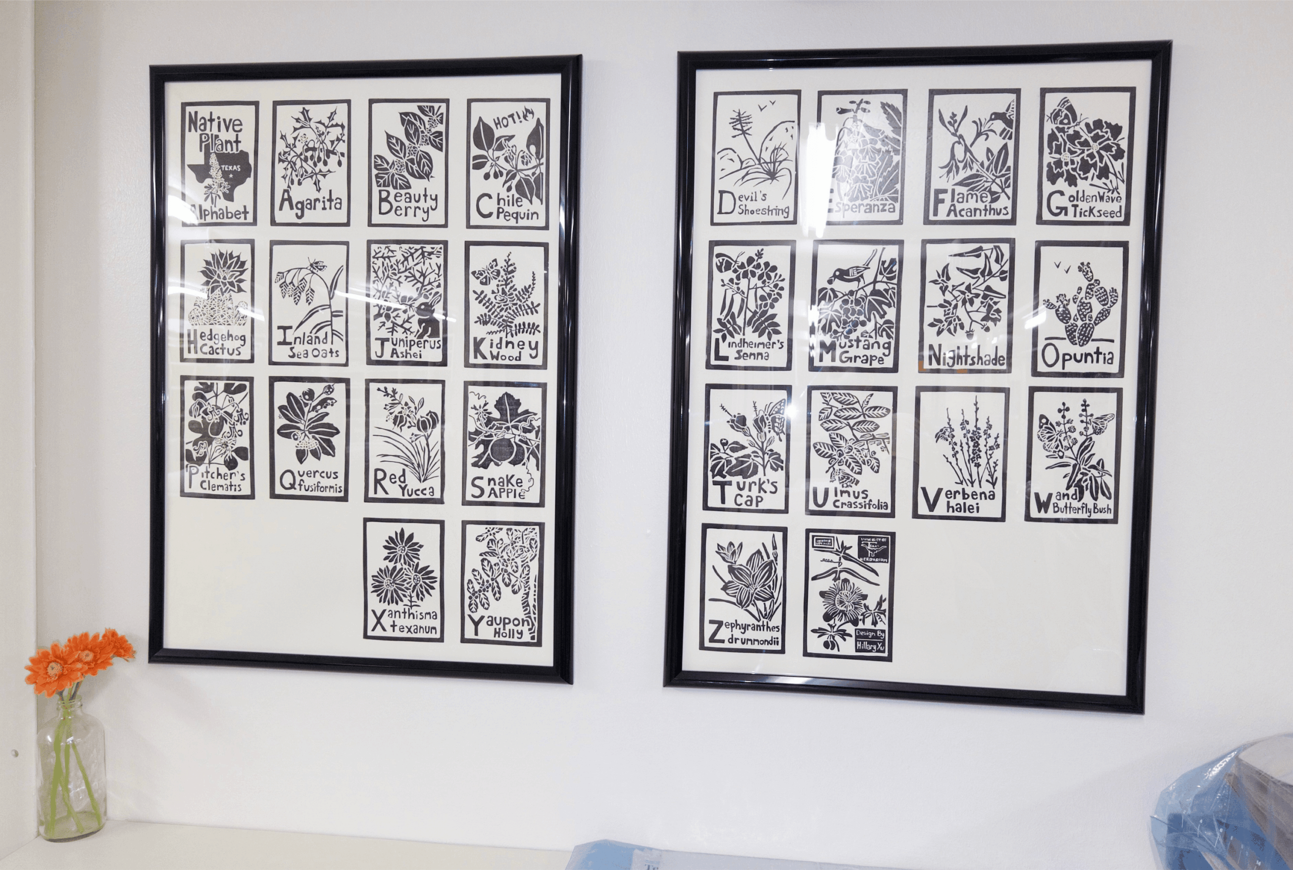 image of two framed prints hung on the wall