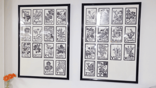 image of two framed prints hung on the wall