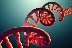 illustration of rna