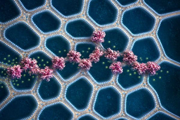 Rendering of 3D printed tissue.