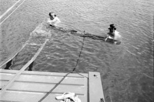 black and white image of people in the water with a diver-led sonar system