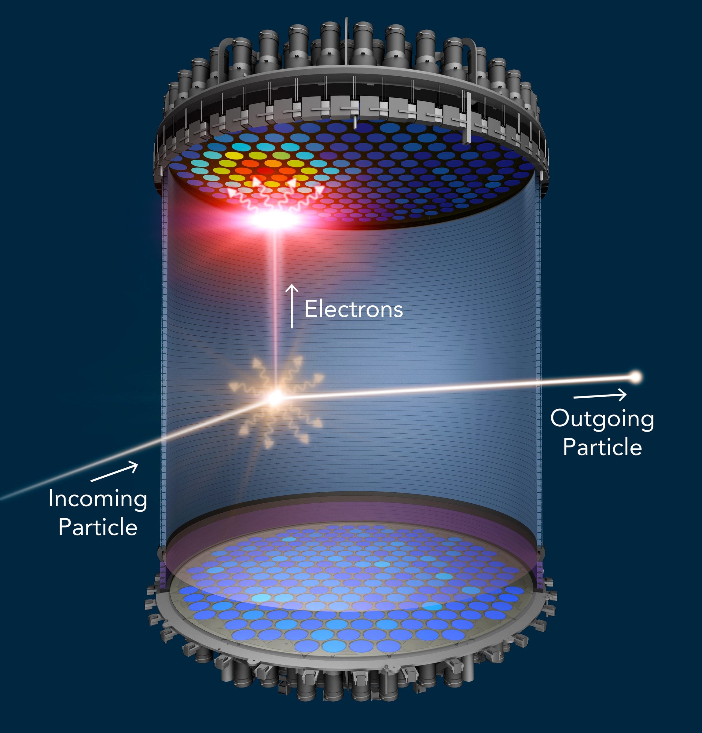 When a WIMP collides with a xenon atom, the xenon atom emits a flash of light and electrons. The light is detected at the top and bottom of the liquid xenon chamber. An electric field drifts the electrons to the top of the chamber, where they generate a second flash of light. Photo by Greg Stewart, SLAC National Accelerator Laboratory