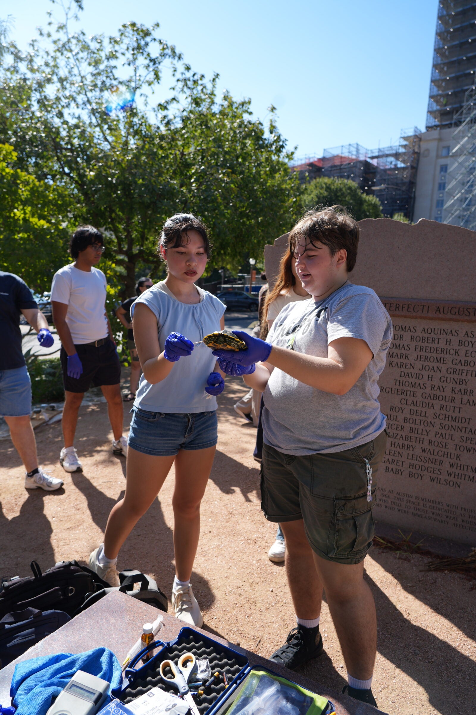 Two students stand with a turtle as they swab its shell with a Q-tip.