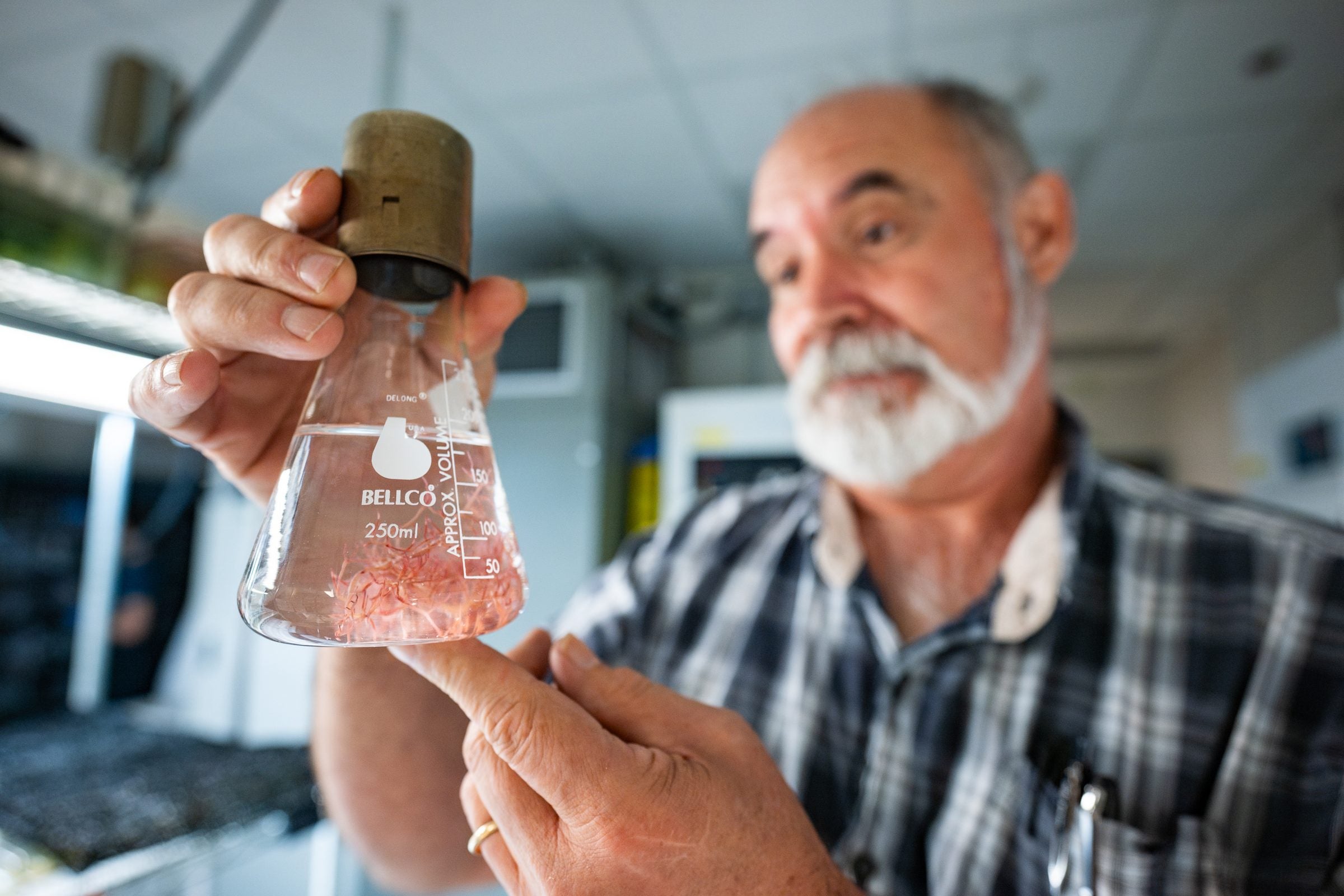 image of a scientist holding a beaker of algae