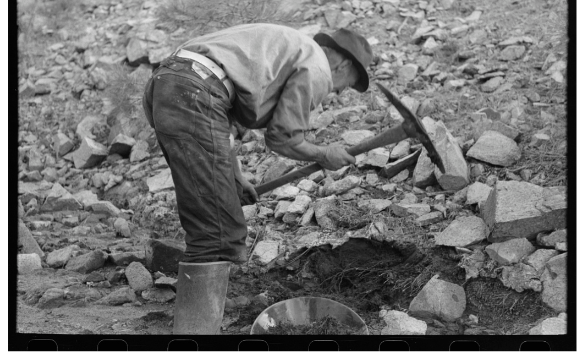 Gold prospector works an area of dirt. Pinos Altos, New Mexico. Credit: Library of Congress