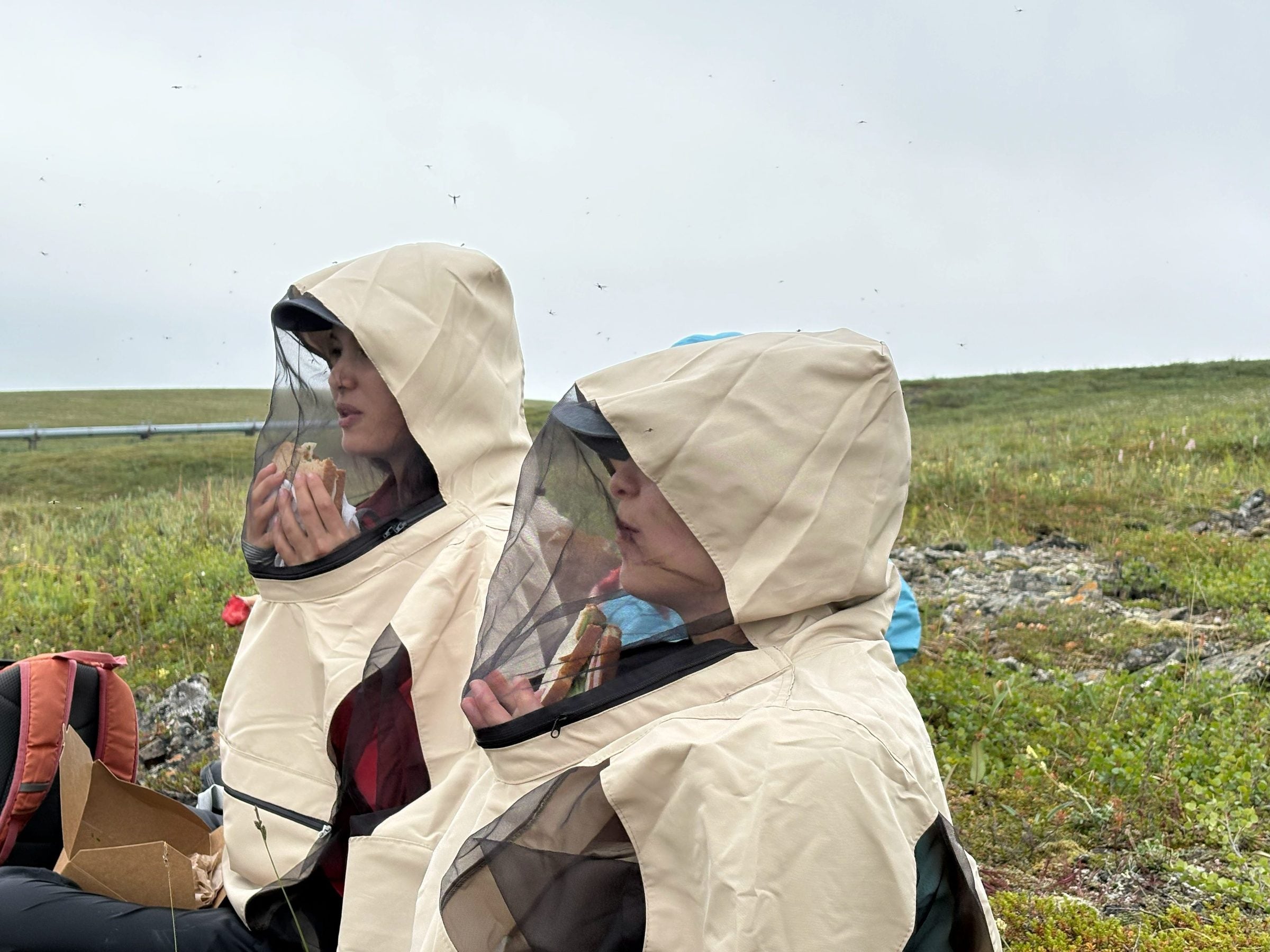 Two women stand in a field eating sandwiches inside the hoods of their jackets, which feature a mosquito net over the face.