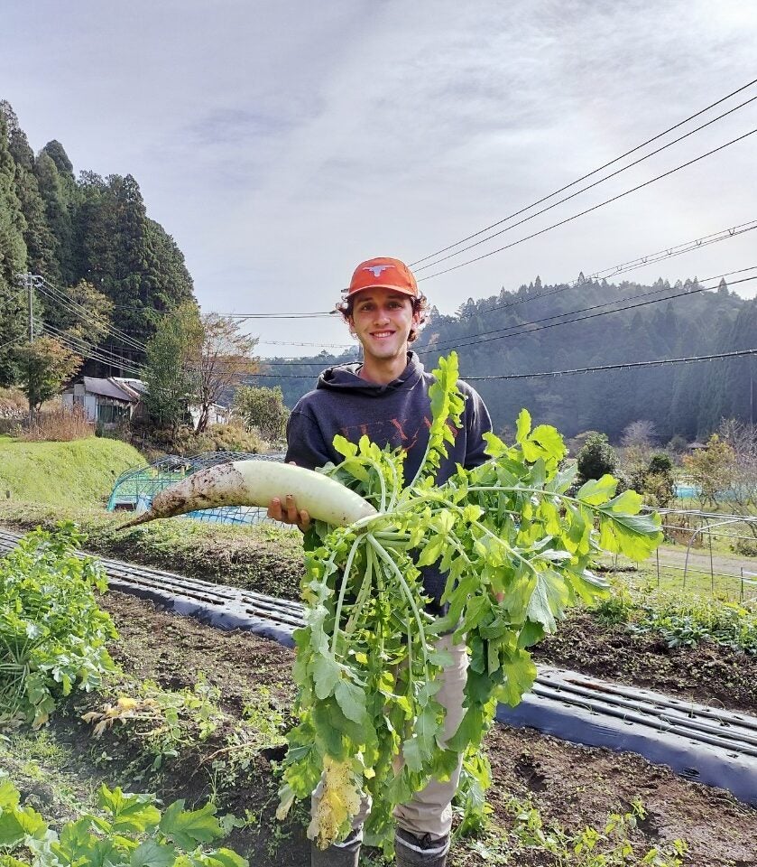 image of a man holding a vegetable from a Japanese farm
