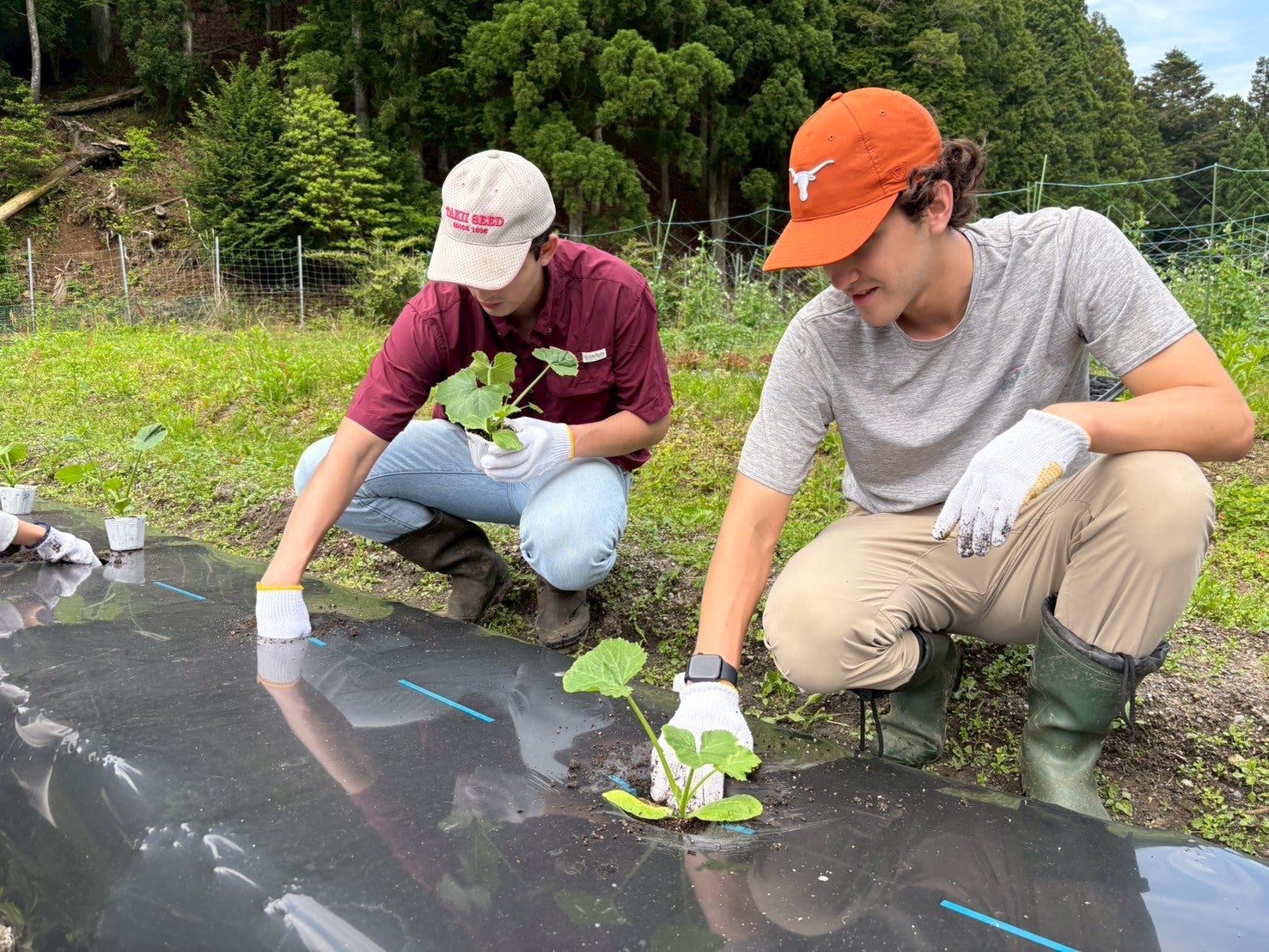 image of two people doing farm work
