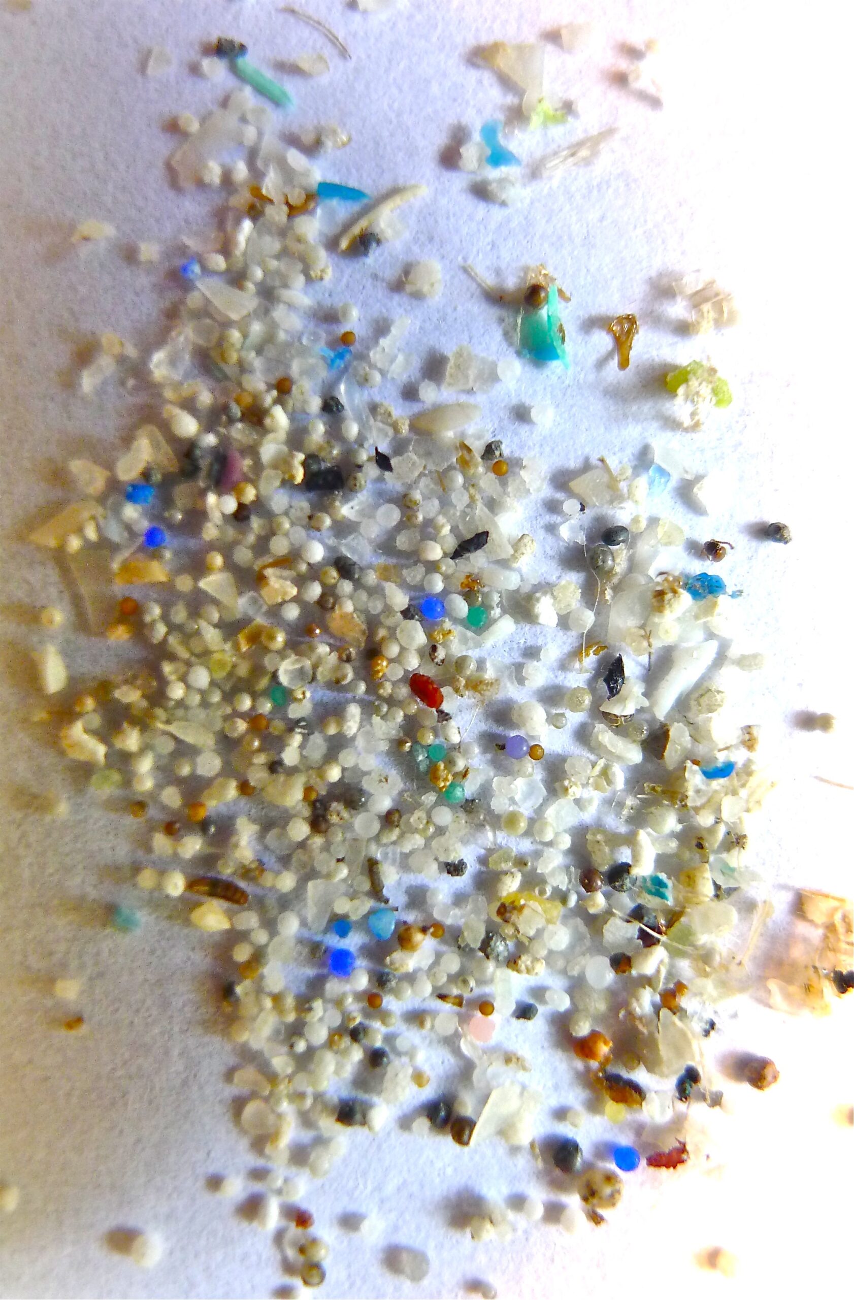 close up image of microplastics of different shapes and sizes