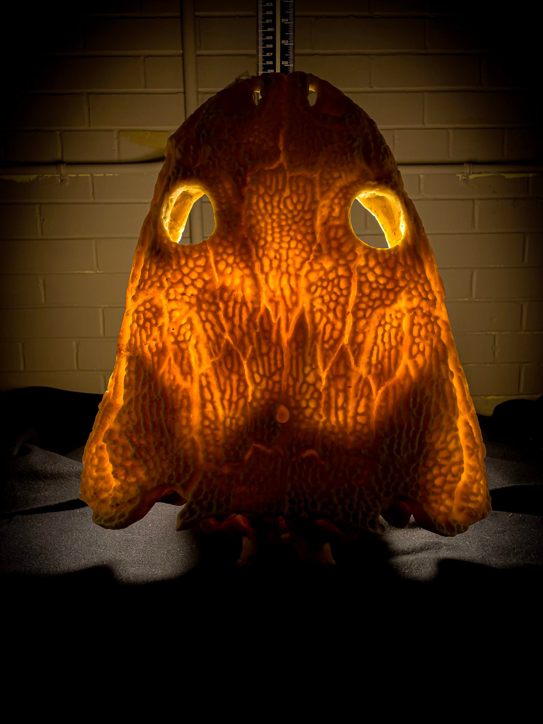 The skull of a giant prehistoric amphibian glows yellow with a light