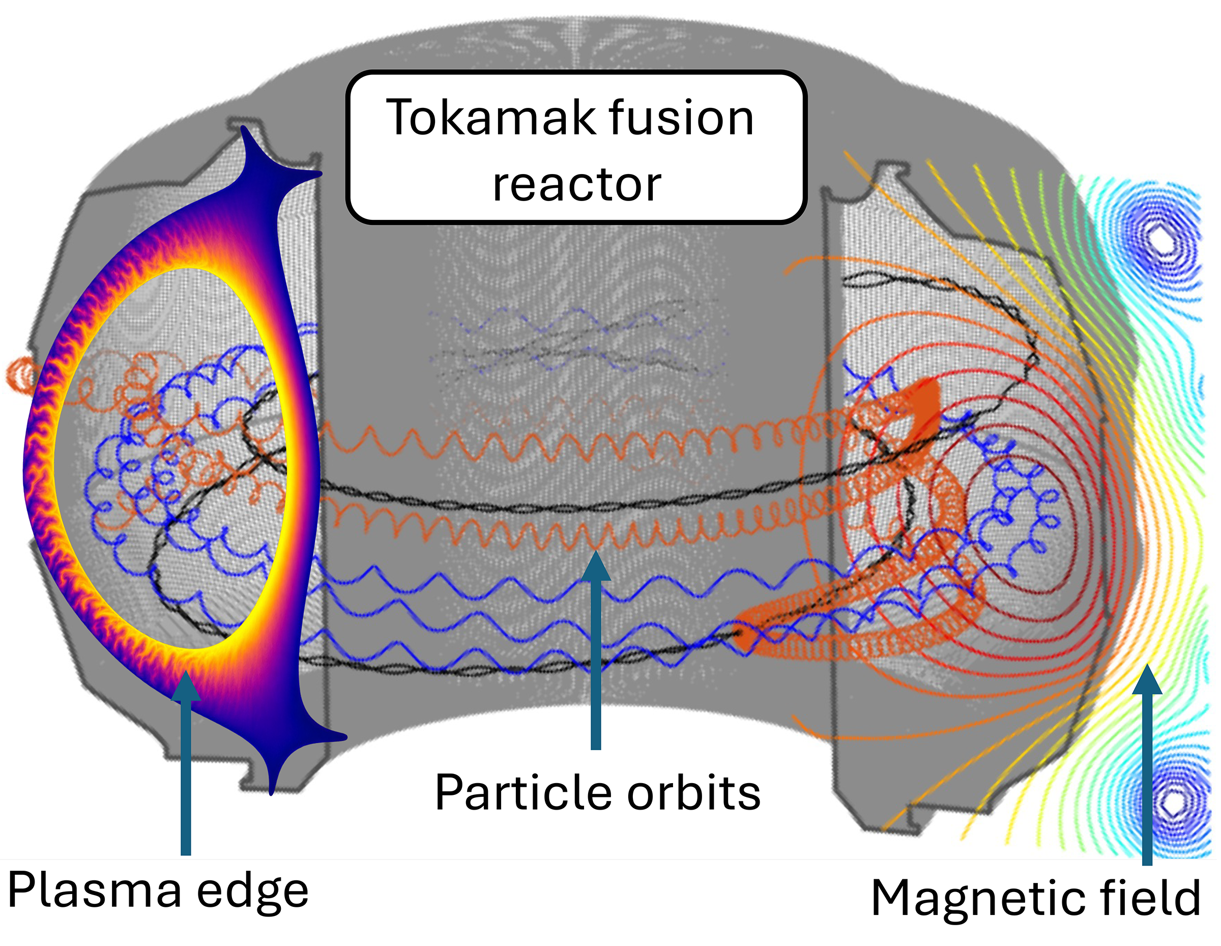 image of a Tokamak fusion reactor